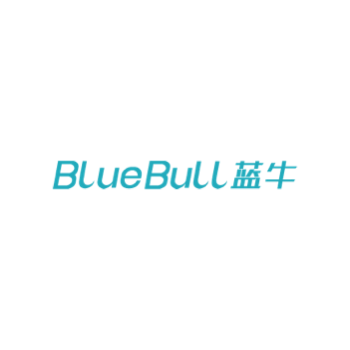BlueBull package tracking - Parcel Detect