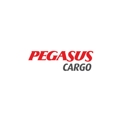 Pegasus Cargo package tracking - Parcel Detect